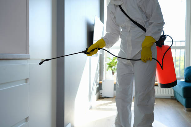 Best Office Mold Removal Services  in Chesnut Hill, PA